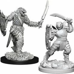 Other D&D Nolzur's Marvelous Unpainted Miniatures: Dragonborn Female Paladin