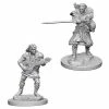 Other D&D Nolzur's Marvelous Unpainted Miniatures: Human Male Bard
