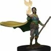 Other Miniatures D&D Icons Of The Realms Premium Figures: Elf Female Druid (93003)