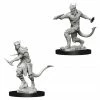 Other D&D Nolzur's Marvelous Unpainted Miniatures: Tiefling Male Rogue