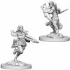 Other D&D Nolzur's Marvelous Unpainted Miniatures: Air Genasi Female Rogue