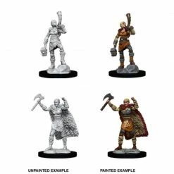 Other D&D Nolzur's Marvelous Unpainted Miniatures: Female Human Barbarian (90056)