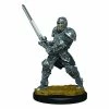 Other Miniatures D&D Icons Of The Realms Premium Figures: Male Human Fighter (93017)