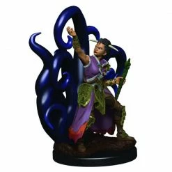 Other D&D Icons Of The Realms Premium Figures: Female Human Warlock (93018) Miniatures