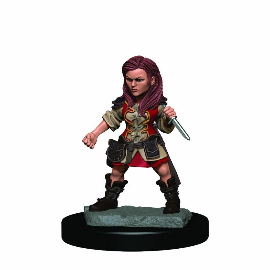 Other Miniatures D&D Icons Of The Realms Premium Figures: Female Halfling Rogue (93019)