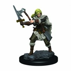 Other Miniatures D&D Icons Of The Realms Premium Figures: Female Human Fighter (93020)