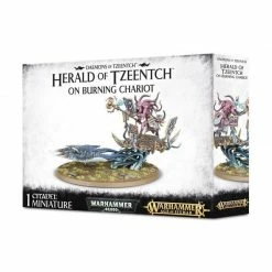 Other Warhammer 40,000 And Age Of Sigmar Daemons Of Tzeentch Herald Of Tzeentch On Burning Chariot Miniatures