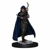 Other Pathfinder Battles Premium Painted Figure Human Female Rogue (77501)