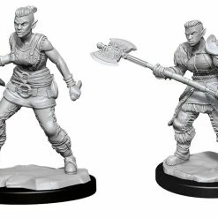 Common Ground Games Nolzur’s Marvelous Unpainted Miniatures Orc Female Barbarian (90145)