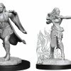 Common Ground Games Nolzur’s Marvelous Unpainted Miniatures Multiclass Female Warlock + Sorcerer (90149)