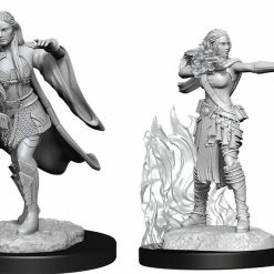 Common Ground Games Nolzur’s Marvelous Unpainted Miniatures Multiclass Female Warlock + Sorcerer (90149)