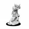 Common Ground Games Nolzur’s Marvelous Unpainted Miniatures Efreeti (90163)