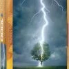 Common Ground Games Lightning Striking Tree 1000pc Puzzle