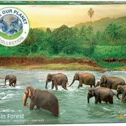 Common Ground Games Rainforest 1000pc Puzzle Puzzles
