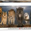 Common Ground Games Puzzles Big Cats 1000pc Puzzle
