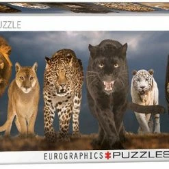 Common Ground Games Puzzles Big Cats 1000pc Puzzle