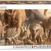 Common Ground Games Dinosaurs 1000pc Puzzle Puzzles