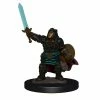 Common Ground Games Miniatures D&D Icons Of The Realms Premium Figures: Female Dwarf Paladin (93027)