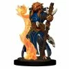 Common Ground Games D&D Icons Of The Realms Premium Figures: Female Dragonborn Sorcerer (93029)