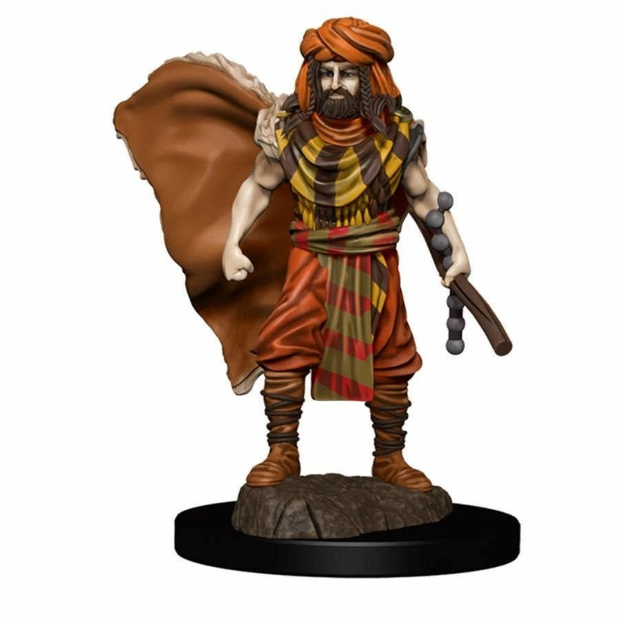 Common Ground Games D&D Icons Of The Realms Premium Figures: Male Human Druid (93031) Miniatures