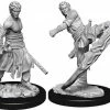Other D&D Nolzur's Marvelous Unpainted Miniatures: Male Half-Elf Monk