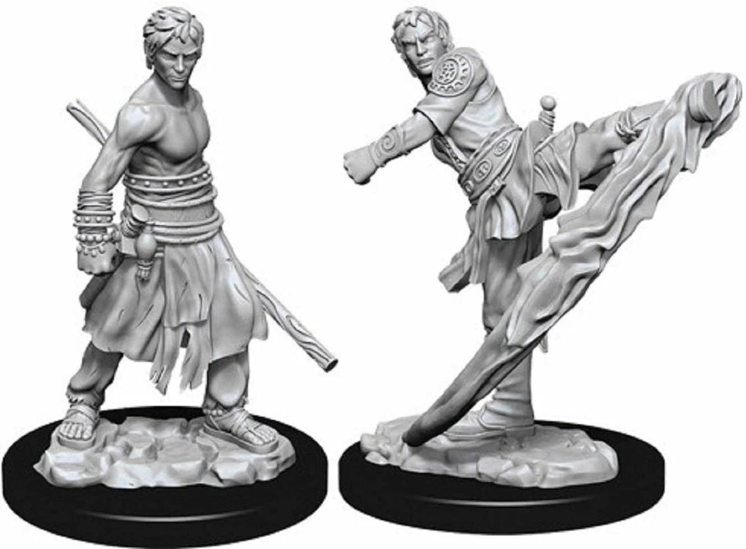 Other D&D Nolzur's Marvelous Unpainted Miniatures: Male Half-Elf Monk