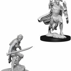 Other D&D Nolzur's Marvelous Unpainted Miniatures: Elf Female Fighter