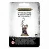 Common Ground Games Warhammer Age Of Sigmar Hedonites Of Slaneesh Shardspeaker Of Slaanesh