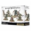 Common Ground Games Miniatures AoS NR Putrid Blightkings