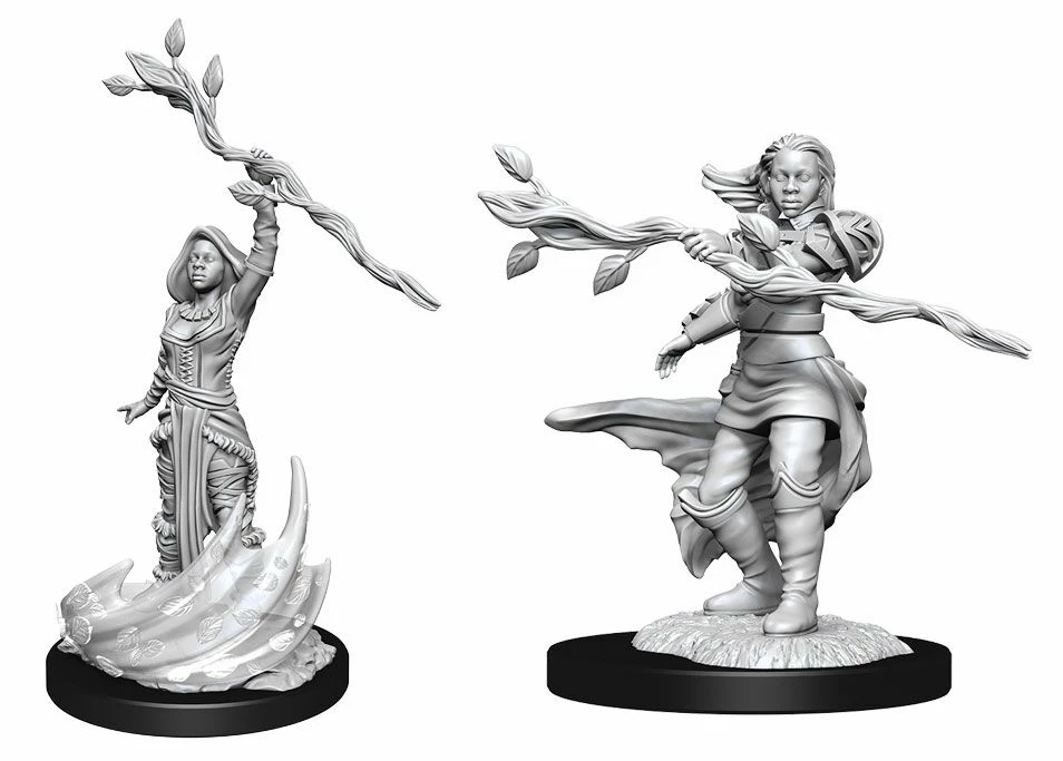 Common Ground Games Nolzur’s Marvelous Unpainted Miniatures Human Druid Female (90223)