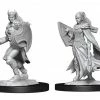 Common Ground Games Nolzur’s Marvelous Unpainted Miniatures Kalashtar Female Cleric (90233)