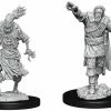 Common Ground Games Nolzur’s Marvelous Unpainted Miniatures Scarecrow & Stone Cursed (90241)