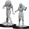 Common Ground Games Nolzur’s Marvelous Unpainted Miniatures Drowned Assassin & Asceti (90242)