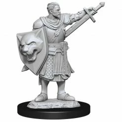 Common Ground Games Pathfinder Battles Deep Cuts Unpainted Miniatures Human Male Champion (90263)