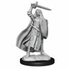 Common Ground Games Pathfinder Battles Deep Cuts Unpainted Miniatures Human Female Champion (90264)