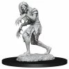 Common Ground Games Pathfinder Battles Deep Cuts Unpainted Miniatures Annis Hag & Green Hag (90266)