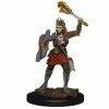 Common Ground Games D&D Painted Premium Female Human Cleric (93043) Miniatures