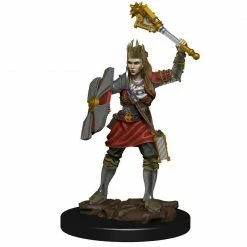 Common Ground Games D&D Painted Premium Female Human Cleric (93043) Miniatures
