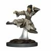 Common Ground Games D&D Painted Premium Female Human Monk (93044) Miniatures