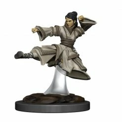 Common Ground Games D&D Painted Premium Female Human Monk (93044) Miniatures