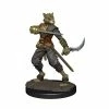 Common Ground Games D&D Painted Premium Male Tabaxi Rogue (93050) Miniatures