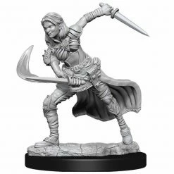 Common Ground Games Miniatures 90305 F Air Genasi
