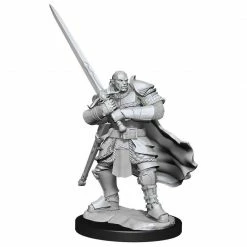 Common Ground Games Miniatures 90307 M Half-orc Paladin