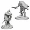 Other D&D Nolzur's Marvelous Unpainted Miniatures: Human Male Paladin