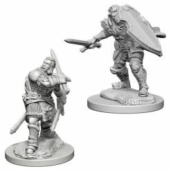 Other D&D Nolzur's Marvelous Unpainted Miniatures: Human Male Paladin