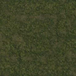 Common Ground Games D&D Premium Battle Mat Grasslands