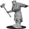 Other D&D Nolzur's Marvelous Unpainted Miniatures: Fire Giant