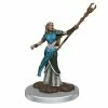 Common Ground Games D&D Icons Of The Realms Premium Prepainted Miniature Female Elf Sorcerer (93053)