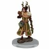 Common Ground Games D&D Icons Of The Realms Premium Prepainted Miniature Female Human Druid (93054) Miniatures