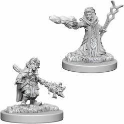 Other D&D Nolzur's Marvelous Unpainted Miniatures: Gnome Female Wizard